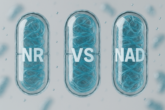 NR vs. NAD⁺: Why Nicotinamide Riboside Is the Smarter Way to Raise Cellular Energy